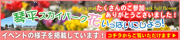 琴平スカイパーク　花いっぱいにしよう！
