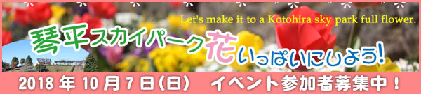 琴平スカイパークを花いっぱいにしよう!