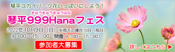 琴平999Hanaフェス