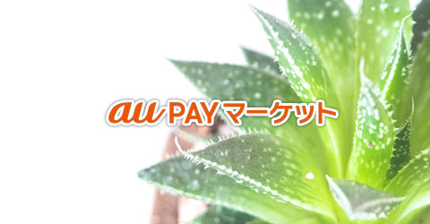 フラワーコーポレーション au payマーケット店