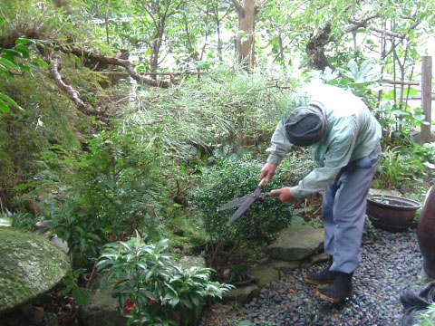 庭園維持管理・施工例