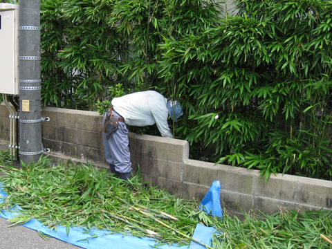 庭園維持管理・施工例