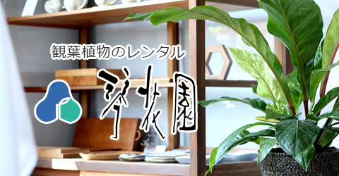 観葉植物のレンタル