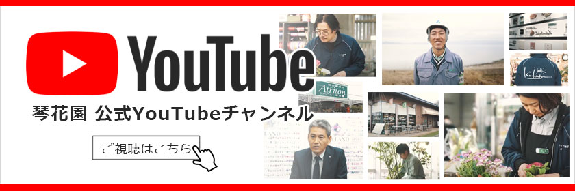 公式YouTubeチャンネル