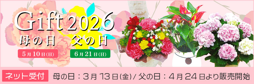 母の日、父の日