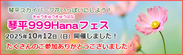 琴平999Hanaフェス