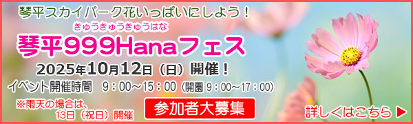 琴平999Hanaフェス