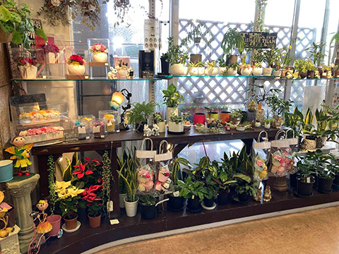 フラワーショップ琴花園（イオン大村店）